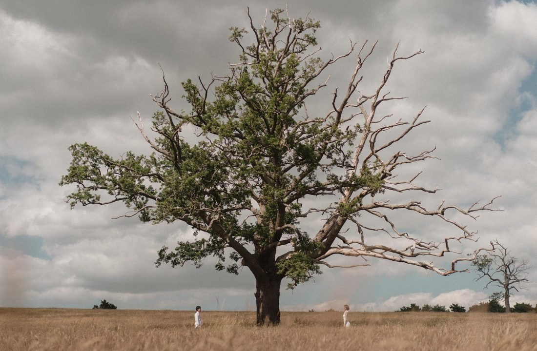 Couple in a field with a large tree, London prewedding photography