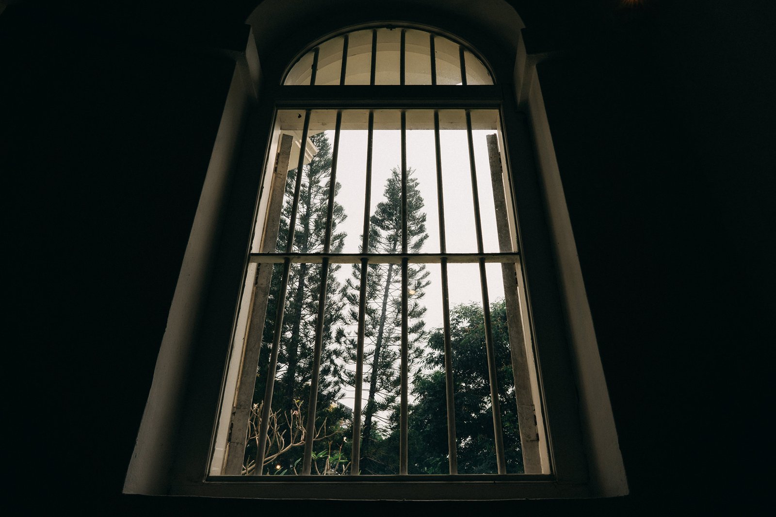 View through a barred window of tall pine trees and lush green foliage against a bright, overcast sky. The bars create a sense of confinement, contrasting with the natural beauty outside.