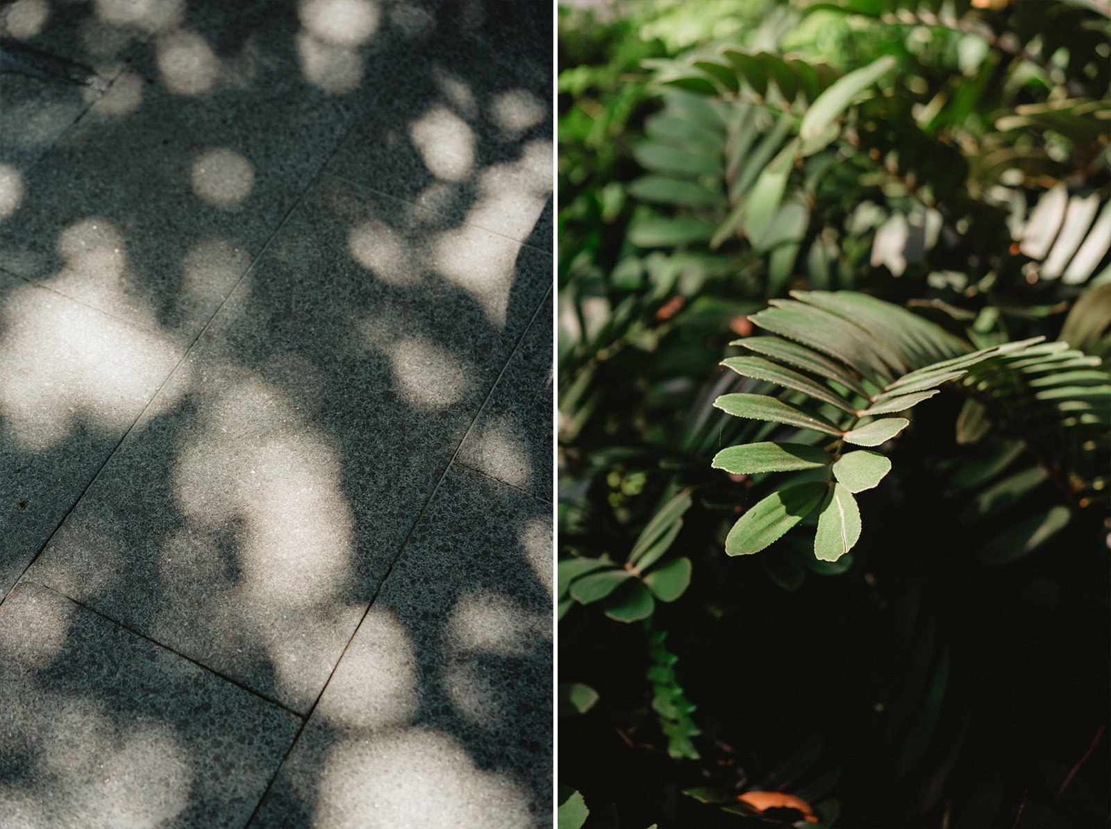 Capella Singapore wedding: dappled sunlight on tiles and lush green foliage